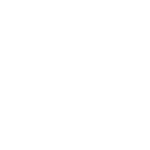 logo Steadman Johnson Group2